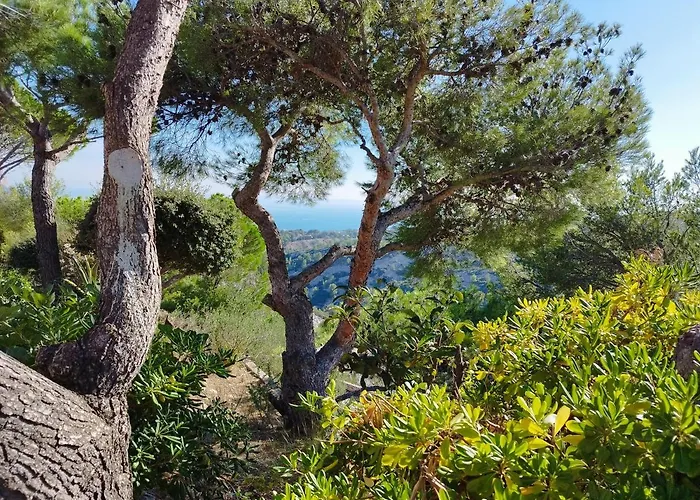 Sweet Calanque - Host Provence شقة كاسيس